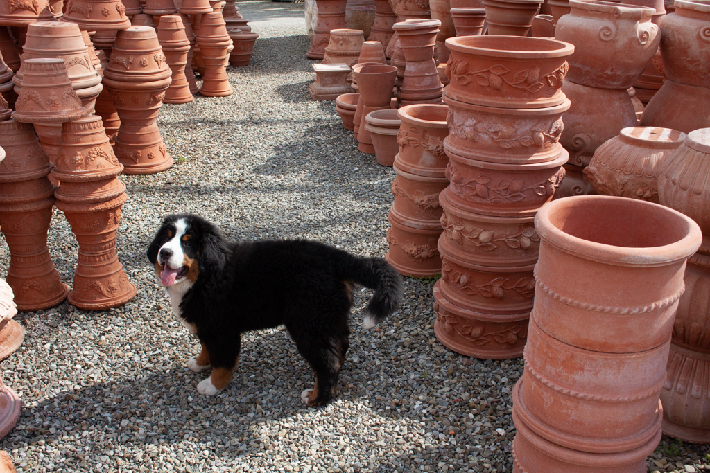 Houbiers Terracotta Mattie